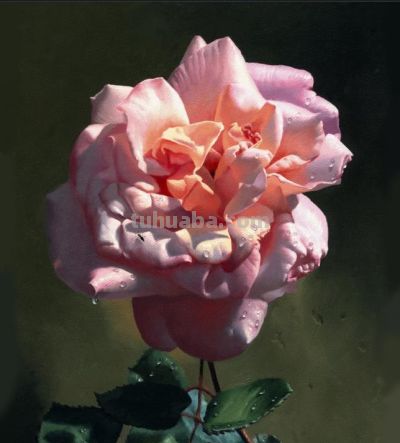 现代俄罗斯艺术家阿列克谢.安东诺夫极致的静物花卉油画作品欣赏 - 今日头条 现代俄罗斯艺术家阿列克谢.安东诺夫极致的静物花卉油画作品欣赏 - 图画吧TUHUABA