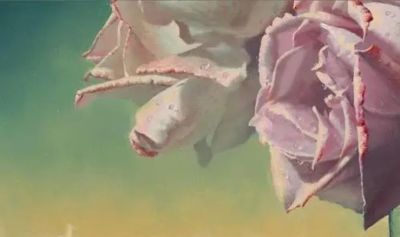 现代俄罗斯艺术家阿列克谢.安东诺夫极致的静物花卉油画作品欣赏 - 今日头条 现代俄罗斯艺术家阿列克谢.安东诺夫极致的静物花卉油画作品欣赏 - 图画吧TUHUABA