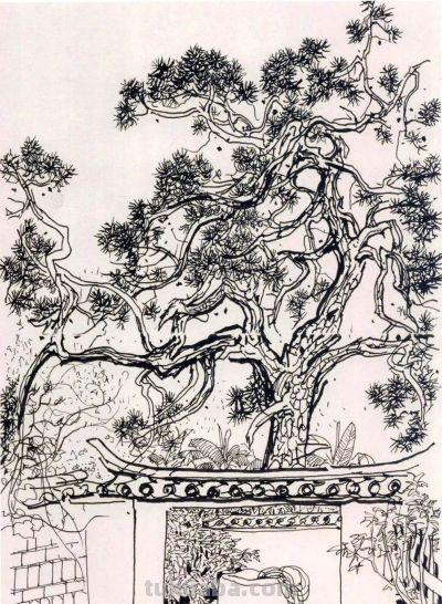 吴冠中速写作品在线欣赏 - 图画吧TUHUABA