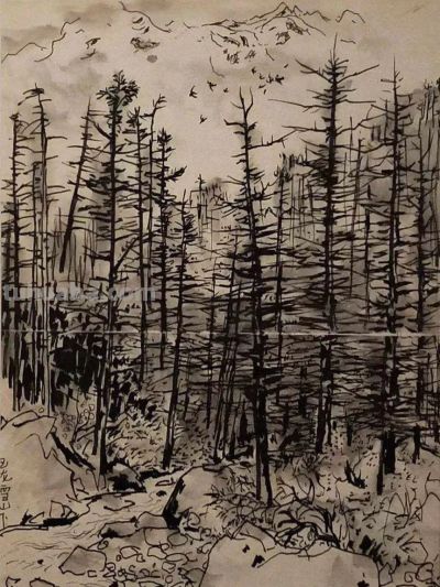 吴冠中速写作品在线欣赏 - 图画吧TUHUABA