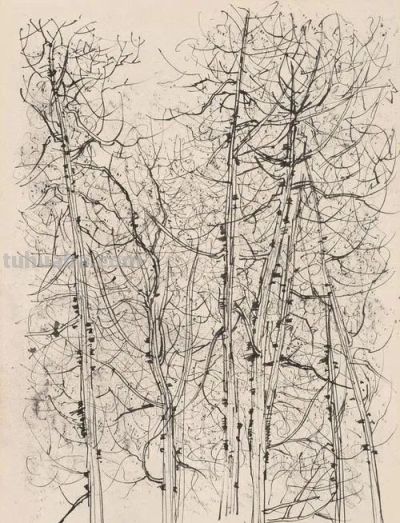 吴冠中速写作品在线欣赏 - 图画吧TUHUABA