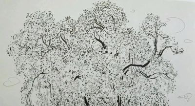 吴冠中速写作品在线欣赏 - 图画吧TUHUABA