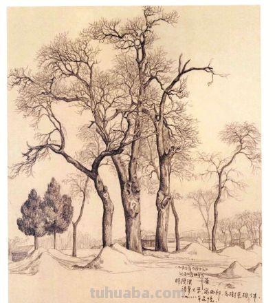 吴冠中速写作品在线欣赏 - 图画吧TUHUABA