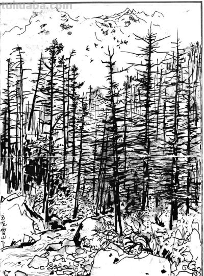 吴冠中速写作品在线欣赏 - 图画吧TUHUABA