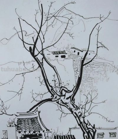 吴冠中速写作品在线欣赏 - 图画吧TUHUABA