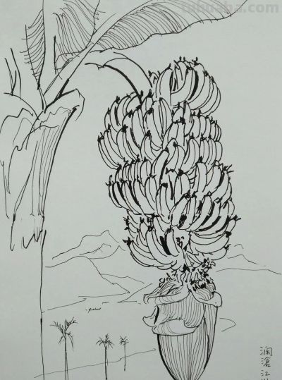 吴冠中速写作品在线欣赏 - 图画吧TUHUABA