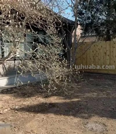 家庭空地种这“懒人作物”，1年稳赚4万！ - 今日头条