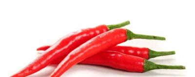 辣椒种植全攻略：全国通用版，65天收获，香辣过瘾，家庭菜园必备 - 图画吧TUHUABA