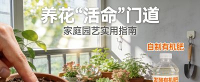 养死3盆绿萝后，我终于摸清花草“活命”的门道 - 今日头条