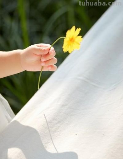 绿萝新芽让我顿悟，身体初期阶段养护，原来要这样做 - 图画吧TUHUABA