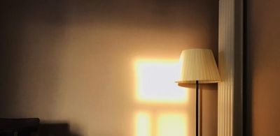 绿萝新芽让我顿悟，身体初期阶段养护，原来要这样做 - 图画吧TUHUABA