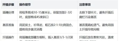 发财树为什么要砍头?3种情况大胆“剪”,新芽猛长更茂密! - 今日头条 发财树为什么要砍头?3种情况大胆“剪”,新芽猛长更茂密! - 图画吧TUHUABA