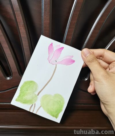 13 仙客来（绘画 水彩 果花甘06） - 图画吧TUHUABA