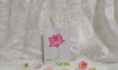 11 玫瑰（绘画 水彩 果花甘06） - 今日头条