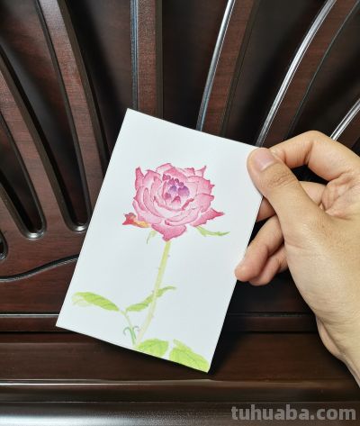 11 玫瑰（绘画 水彩 果花甘06） - 图画吧TUHUABA