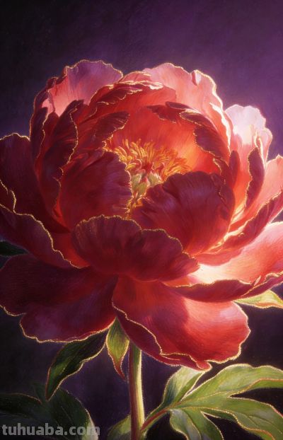 这样的彩铅插画是不是很唯美？收藏做壁纸更棒 - 图画吧TUHUABA