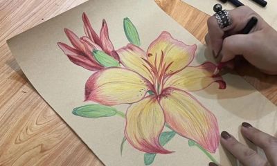 琅琊夜校2026岁馀班丨No13北城新区大嘉艺术微校开设彩铅画、油画和治愈系食光课 - 图画吧TUHUABA