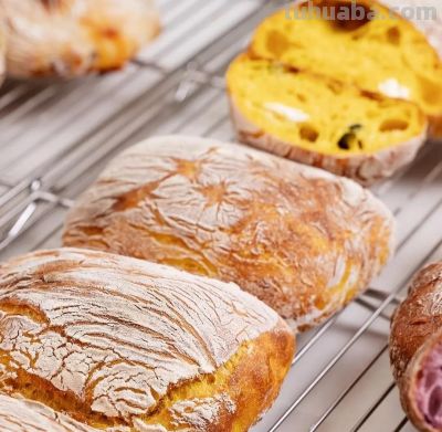 琅琊夜校2026岁馀班丨No13北城新区大嘉艺术微校开设彩铅画、油画和治愈系食光课 - 图画吧TUHUABA