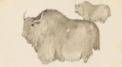 致敬经典素描 - 图画吧TUHUABA