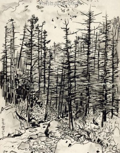 致敬经典素描 - 图画吧TUHUABA