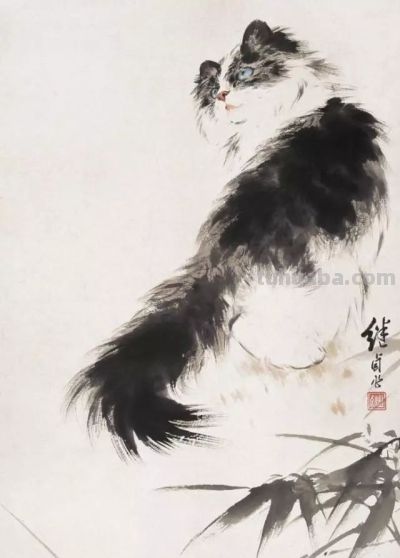 四大名家画猫，堪称一绝 - 图画吧TUHUABA