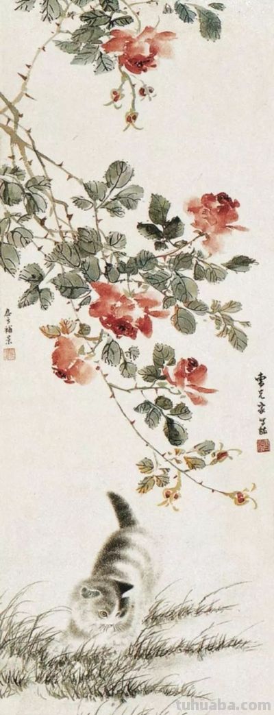 四大名家画猫，堪称一绝 - 图画吧TUHUABA