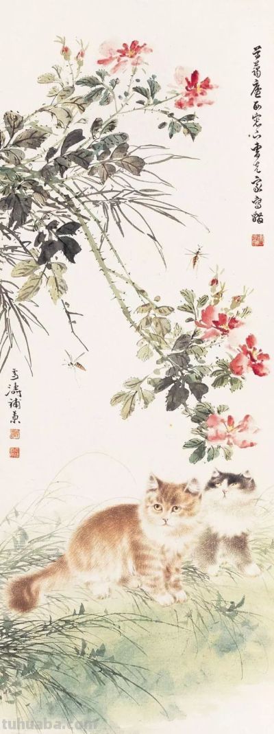四大名家画猫，堪称一绝 - 图画吧TUHUABA