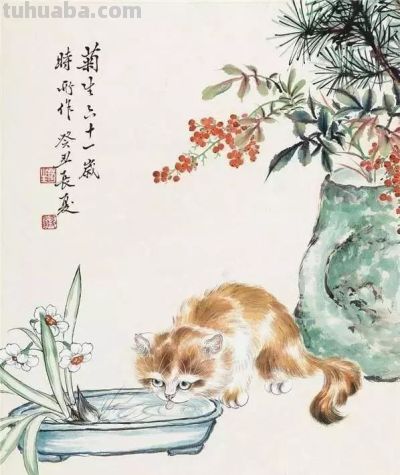 四大名家画猫，堪称一绝 - 图画吧TUHUABA