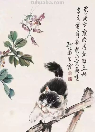 四大名家画猫，堪称一绝 - 图画吧TUHUABA