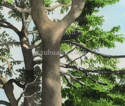 绿色水彩,更让人兴奋! - 今日头条 绿色水彩,更让人兴奋! - 图画吧TUHUABA