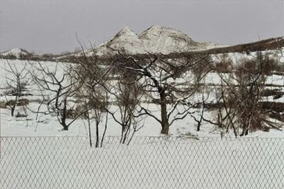 第八届全国青年美展 | 油画部分 - 图画吧TUHUABA