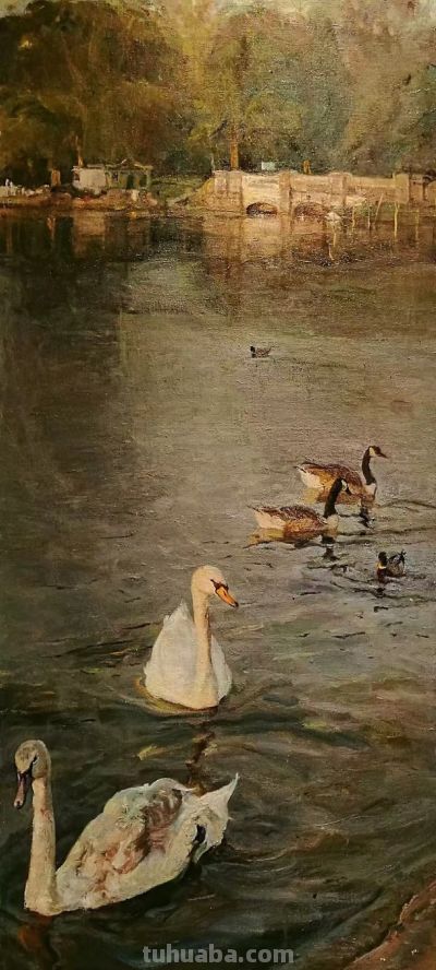 她的每一幅我都喜欢，崔敏老师的油画赏 - 图画吧TUHUABA