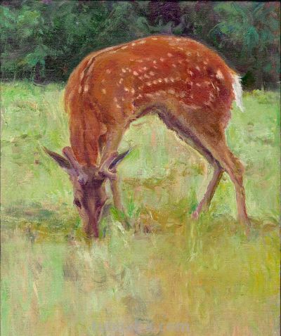 她的每一幅我都喜欢，崔敏老师的油画赏 - 图画吧TUHUABA