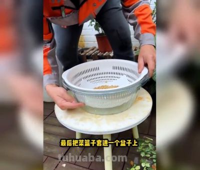 家庭种植乐趣多，轻松上手很简单 - 图画吧TUHUABA
