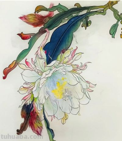 美丽花卉果蔬画，色彩鲜艳，细节精致 - 图画吧TUHUABA
