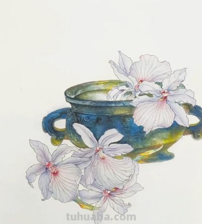 美丽花卉果蔬画，色彩鲜艳，细节精致 - 图画吧TUHUABA