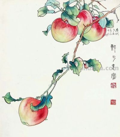 美丽花卉果蔬画，色彩鲜艳，细节精致 - 图画吧TUHUABA