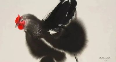 老外画鸡，寥寥几笔，牛！ - 图画吧TUHUABA