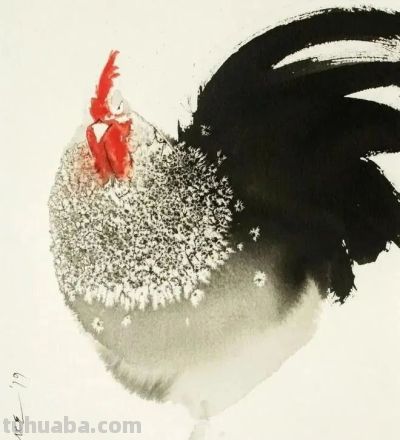 老外画鸡，寥寥几笔，牛！ - 图画吧TUHUABA
