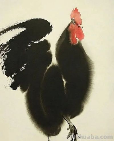 老外画鸡，寥寥几笔，牛！ - 图画吧TUHUABA