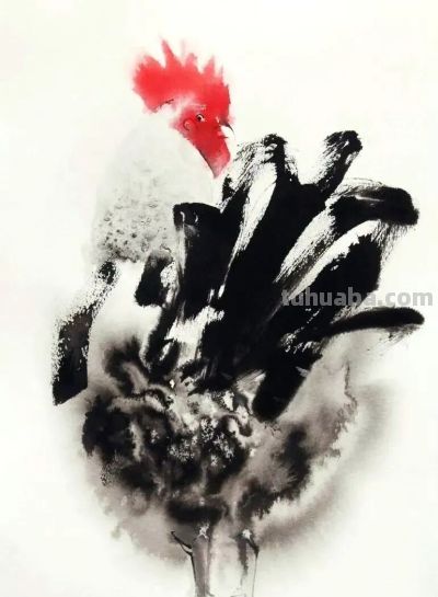 老外画鸡，寥寥几笔，牛！ - 图画吧TUHUABA