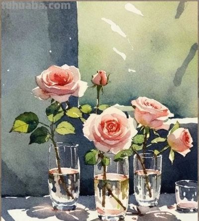 水彩·光照进玫瑰 - 图画吧TUHUABA