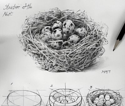 结构素描的空间感很难画？从基础结构到整体造型，这样画最正确 - 今日头条