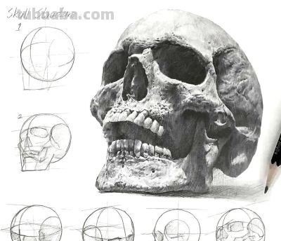 结构素描的空间感很难画？从基础结构到整体造型，这样画最正确 - 图画吧TUHUABA