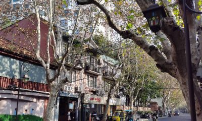 每日一画 | 城隅一林树，春至似含烟，上海水彩小分队写生申城街景 - 图画吧TUHUABA