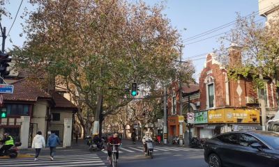 每日一画 | 城隅一林树，春至似含烟，上海水彩小分队写生申城街景 - 图画吧TUHUABA