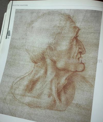 文艺复兴时期画坛巨匠达芬奇等人的部分素描作品 - 今日头条 文艺复兴时期画坛巨匠达芬奇等人的部分素描作品 - 图画吧TUHUABA