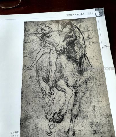 文艺复兴时期画坛巨匠达芬奇等人的部分素描作品 - 今日头条 文艺复兴时期画坛巨匠达芬奇等人的部分素描作品 - 图画吧TUHUABA