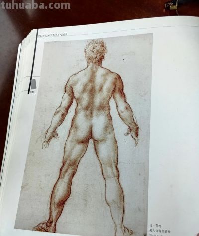 文艺复兴时期画坛巨匠达芬奇等人的部分素描作品 - 今日头条 文艺复兴时期画坛巨匠达芬奇等人的部分素描作品 - 图画吧TUHUABA