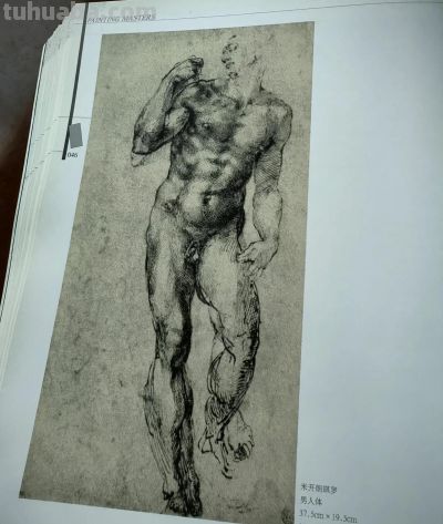 文艺复兴时期画坛巨匠达芬奇等人的部分素描作品 - 今日头条 文艺复兴时期画坛巨匠达芬奇等人的部分素描作品 - 图画吧TUHUABA